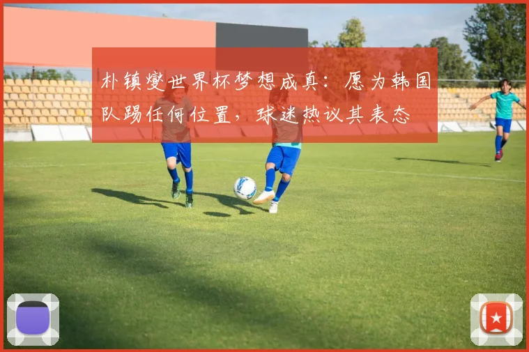 朴镇燮世界杯梦想成真：愿为韩国队踢任何位置，球迷热议其表态