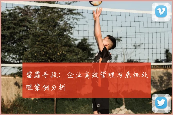 雷霆手段：企业高效管理与危机处理案例分析