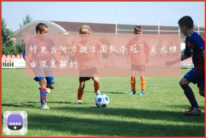 特里为何力挺法国队夺冠?五大理由深度解析