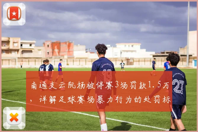 南通支云阮杨被停赛3场罚款1.5万，详解足球赛场暴力行为的处罚标准